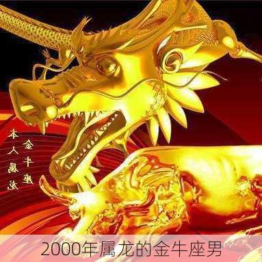 2000年属龙的金牛座男-第2张图片-滋味星座网