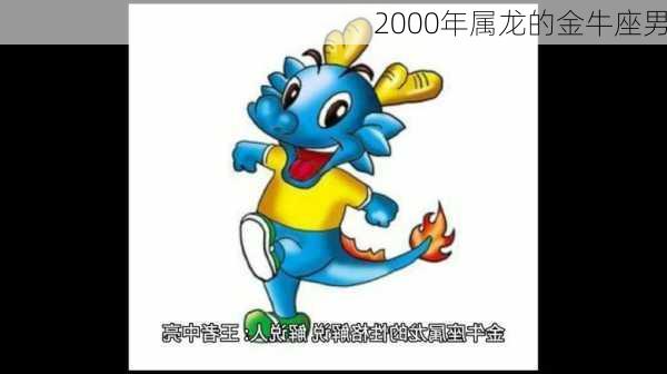 2000年属龙的金牛座男