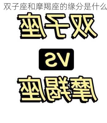 双子座和摩羯座的缘分是什么-第2张图片-滋味星座网