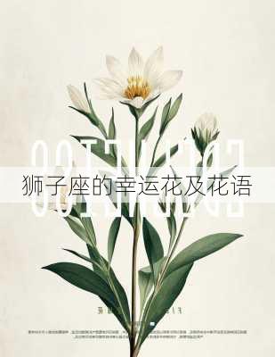 狮子座的幸运花及花语