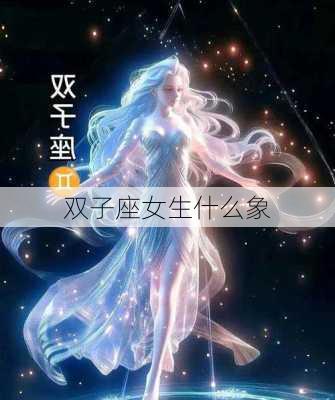 双子座女生什么象