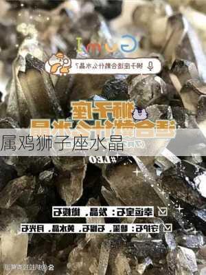 属鸡狮子座水晶-第2张图片-滋味星座网