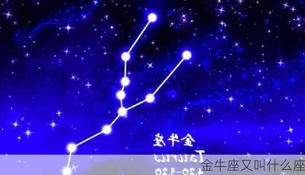 金牛座又叫什么座-第3张图片-滋味星座网