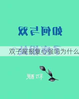 双子座报复心强吗为什么-第3张图片-滋味星座网