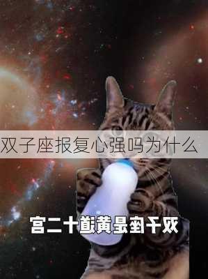 双子座报复心强吗为什么-第2张图片-滋味星座网