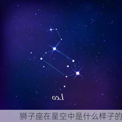 狮子座在星空中是什么样子的-第3张图片-滋味星座网