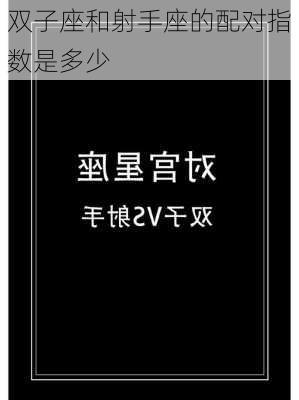 双子座和射手座的配对指数是多少-第3张图片-滋味星座网