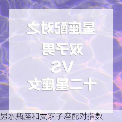 男水瓶座和女双子座配对指数-第3张图片-滋味星座网