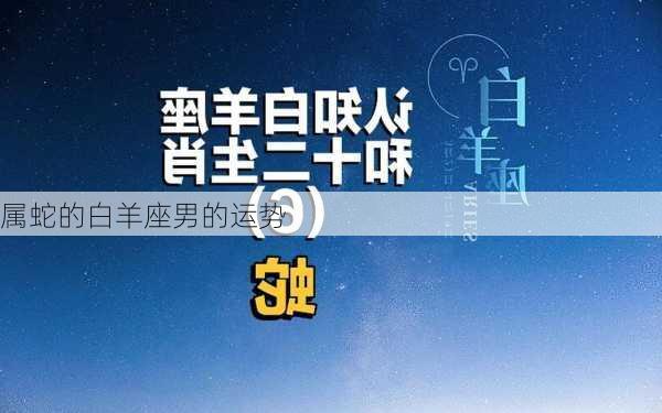 属蛇的白羊座男的运势-第3张图片-滋味星座网