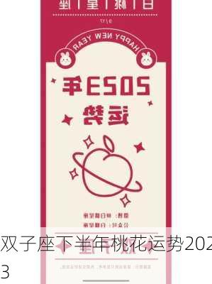 双子座下半年桃花运势2023-第1张图片-滋味星座网