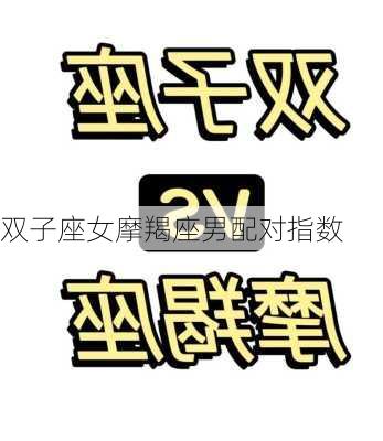 双子座女摩羯座男配对指数-第2张图片-滋味星座网