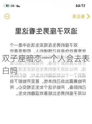 双子座暗恋一个人会去表白吗-第3张图片-滋味星座网