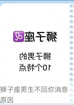 狮子座男生不回你消息原因-第3张图片-滋味星座网
