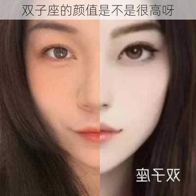 双子座的颜值是不是很高呀