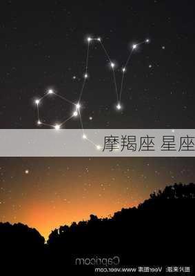 摩羯座 星座-第3张图片-滋味星座网