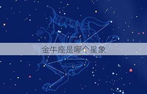 金牛座是哪个星象-第2张图片-滋味星座网