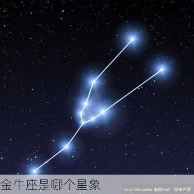 金牛座是哪个星象