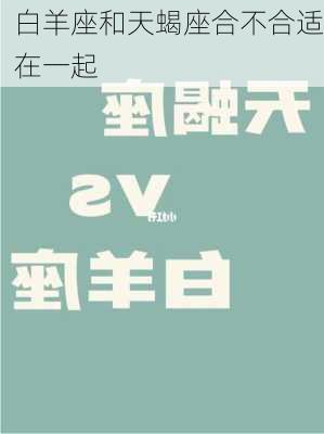 白羊座和天蝎座合不合适在一起