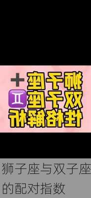 狮子座与双子座的配对指数-第3张图片-滋味星座网