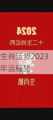 生肖运势2023年运程猪-第2张图片-滋味星座网