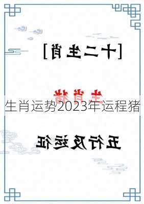 生肖运势2023年运程猪-第3张图片-滋味星座网