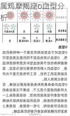 属鸡摩羯座o血型分析-第3张图片-滋味星座网