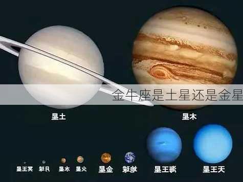 金牛座是土星还是金星-第2张图片-滋味星座网