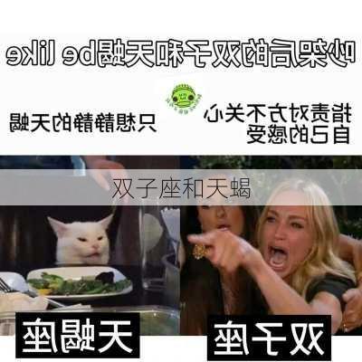 双子座和天蝎-第3张图片-滋味星座网