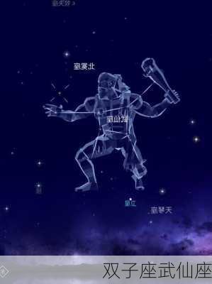 双子座武仙座-第2张图片-滋味星座网