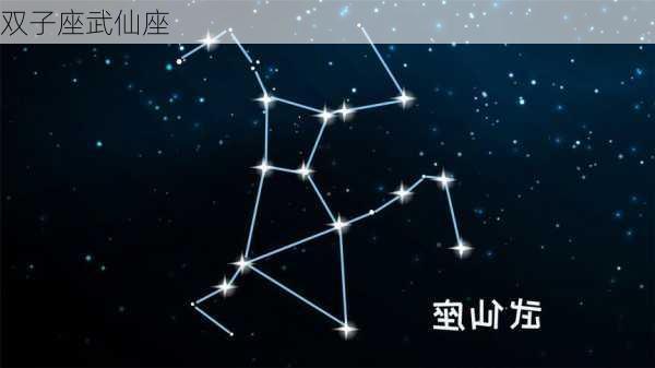 双子座武仙座-第3张图片-滋味星座网