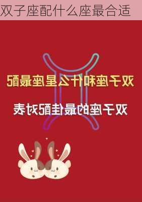 双子座配什么座最合适-第3张图片-滋味星座网