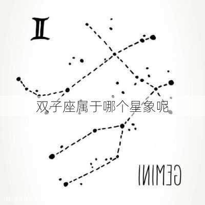 双子座属于哪个星象呢-第3张图片-滋味星座网