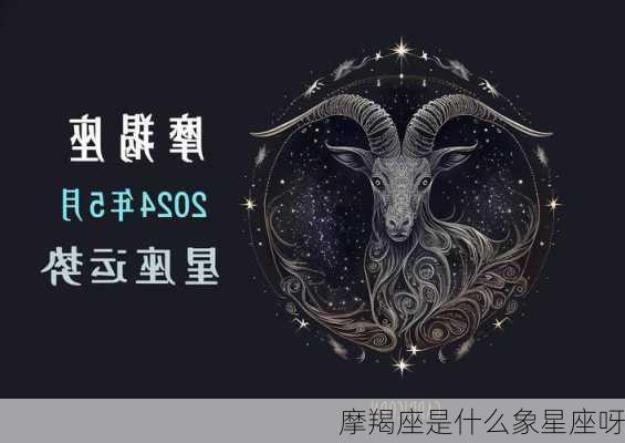 摩羯座是什么象星座呀-第3张图片-滋味星座网