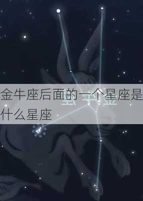 金牛座后面的一个星座是什么星座