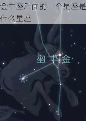 金牛座后面的一个星座是什么星座-第2张图片-滋味星座网