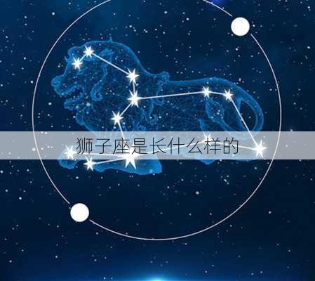 狮子座是长什么样的-第2张图片-滋味星座网