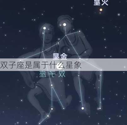 双子座是属于什么星象