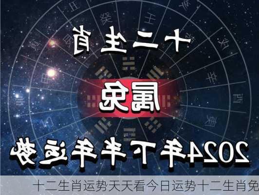 十二生肖运势天天看今日运势十二生肖免-第3张图片-滋味星座网