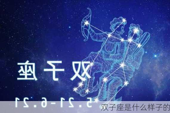 双子座是什么样子的-第2张图片-滋味星座网