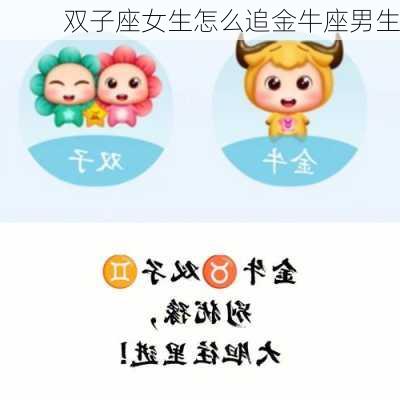 双子座女生怎么追金牛座男生-第3张图片-滋味星座网