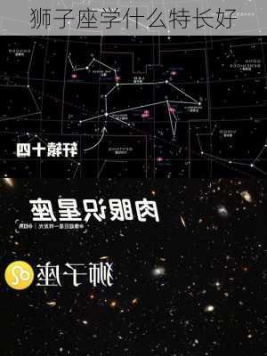 狮子座学什么特长好